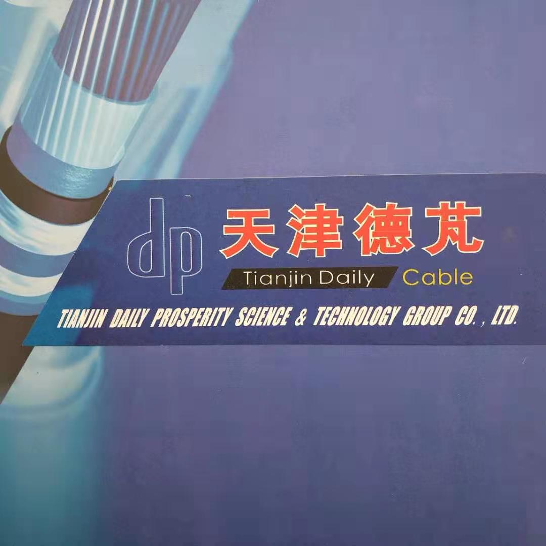 天津德芃科技集团有限公司