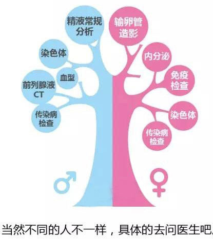 一位高龄妈妈的供卵试管婴儿成功经验--如何提高供卵试管婴儿成