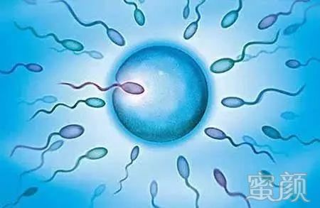什么样的人需要做供卵做试管婴儿？