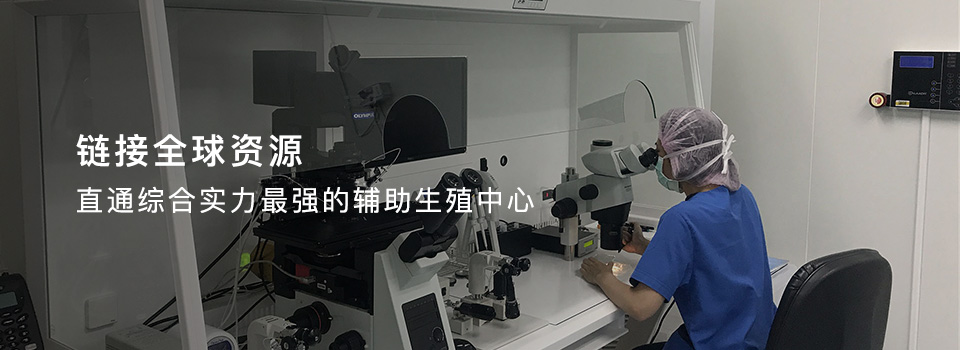 旺财国际的供卵做试管婴儿好孕过程介绍