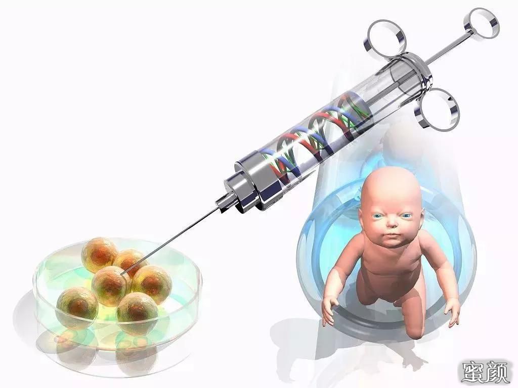 成功阻断显性遗传性耳聋传播的供卵试管婴儿诞生
