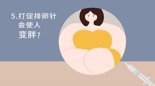 借卵做借卵试管机构移植失败的主要原因有哪些？