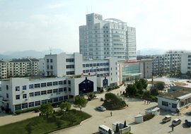 囊胚移植3天着床成功表现关键的因素是什么