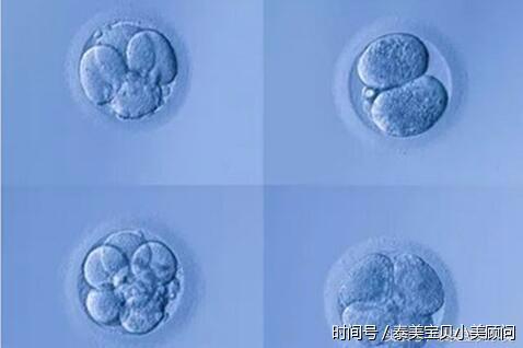 移植冻胚14天为何会出血具体原因与处理方法一看便知