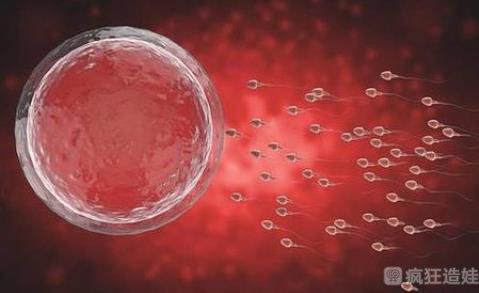 武汉妇幼保健院可以做供卵试管婴儿吗