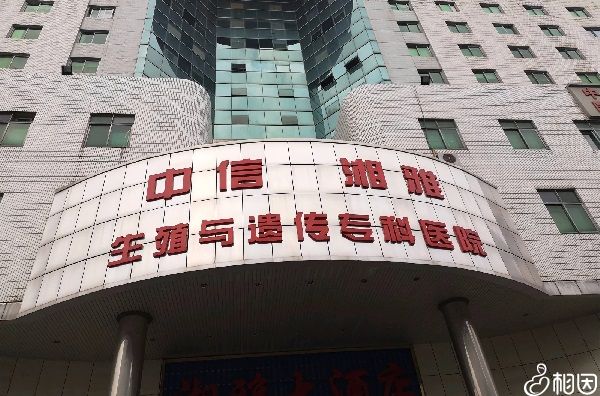 做借卵试管婴儿怀孕的容易流产吗