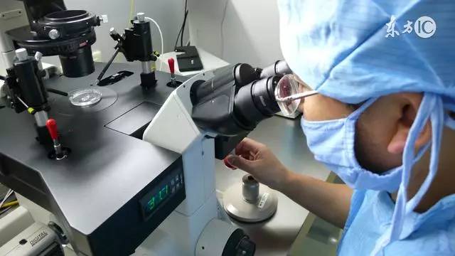 二代试管成功率低一些吗