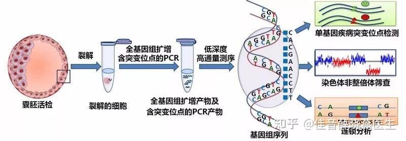 武汉市第一人民医院哪里试管代怀好技术如何？