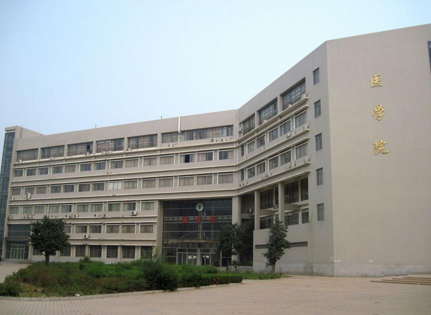 精子异常怎么治疗