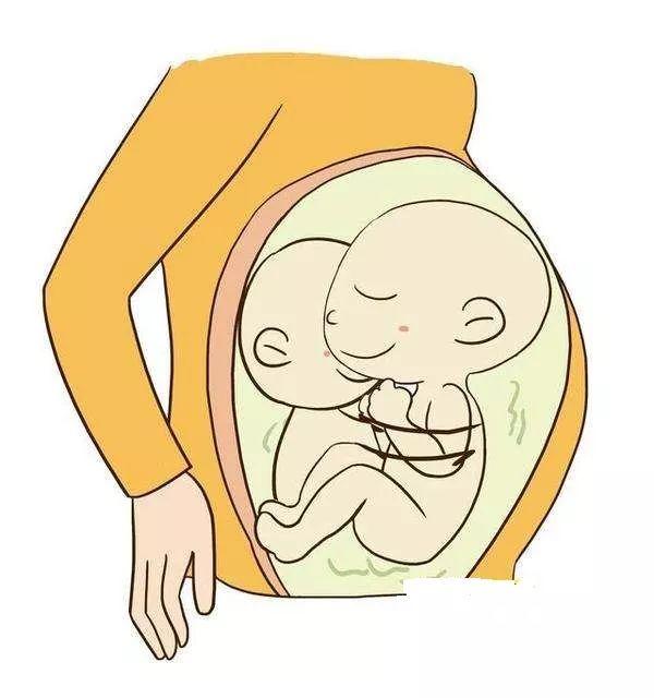 带你看试管取卵后胚胎培养全过程分4步讲解包你懂