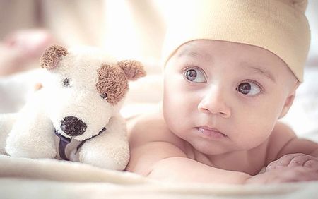 带你看试管取卵后胚胎培养全过程分4步讲解包你懂