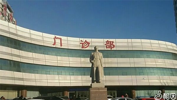 怎么查询自己有没有生育保险