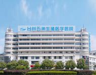 子宫腺肌症备孕一年怀不上怎么办（想怀孕可以试管吗？）
