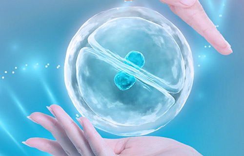 女生和女生代生合法医院+和可以做试管代怀多少费用吗