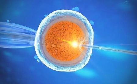 武汉精子库电话+武汉人类精子库