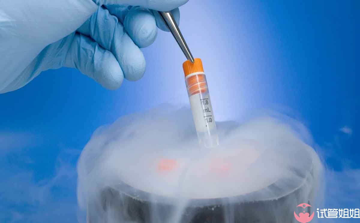 试管代妈报名最多几次成功代生代怀试管生育机构要多少钱（供卵高