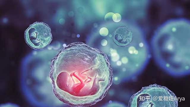 试管孩子的饮食禁忌+助孕包性别代怀移植后