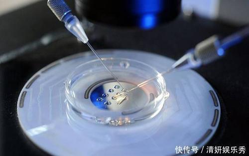 武汉市代生试管选性别费用利弊+代怀生子费用利弊关系