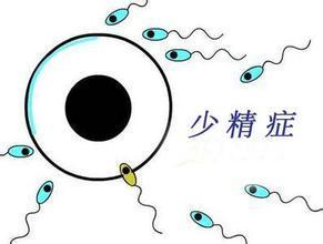 2024武汉市供卵生殖中心排名公布!附医院卵源等待时间!